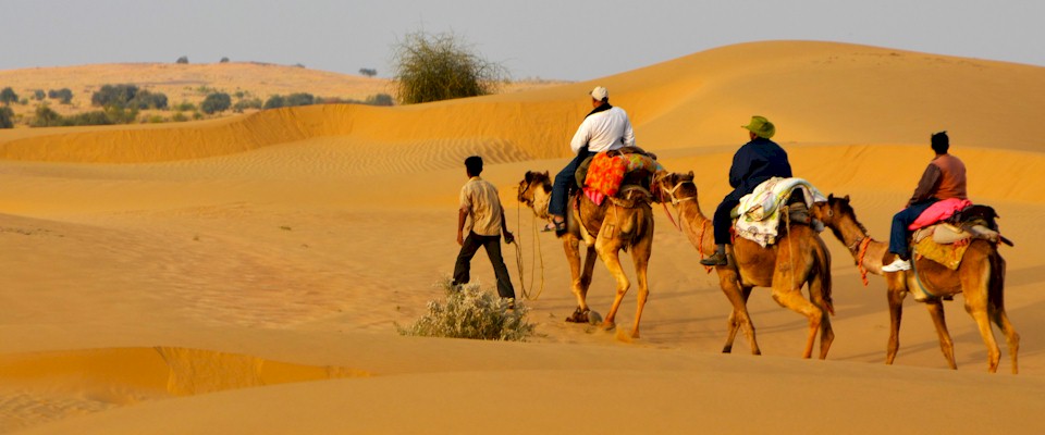 Rajasthan tour packages starting from Bikaner