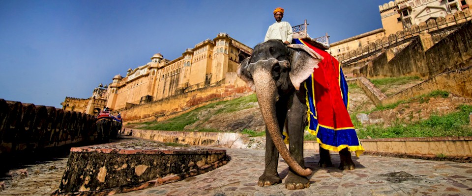 Rajasthan tour packages starting from Jaipur